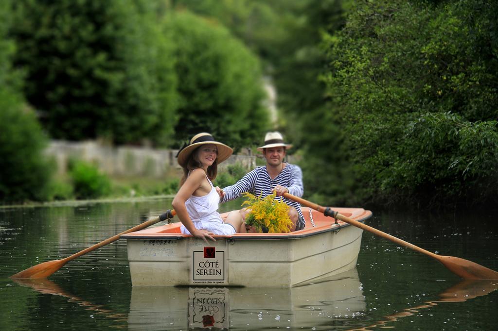 Cote-Serein - Domaine De Venoise Noyers-sur-Serein Dış mekan fotoğraf